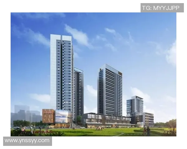 打造梦想篮球场的完美蓝图与建设指南